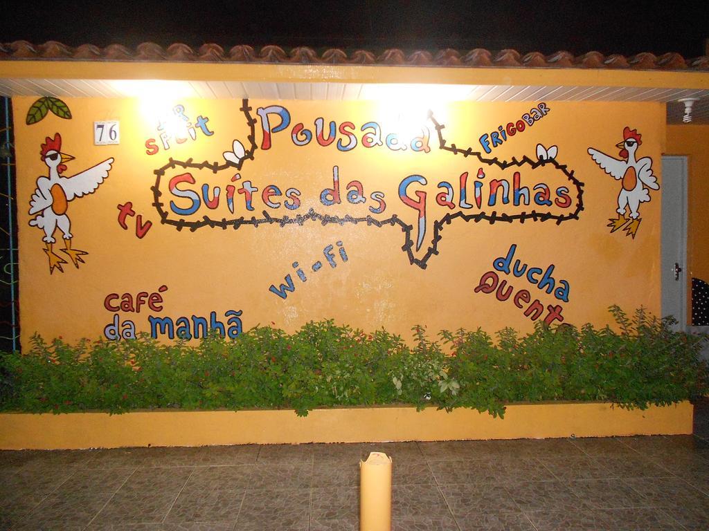 Galinhas Porto de Galinhas